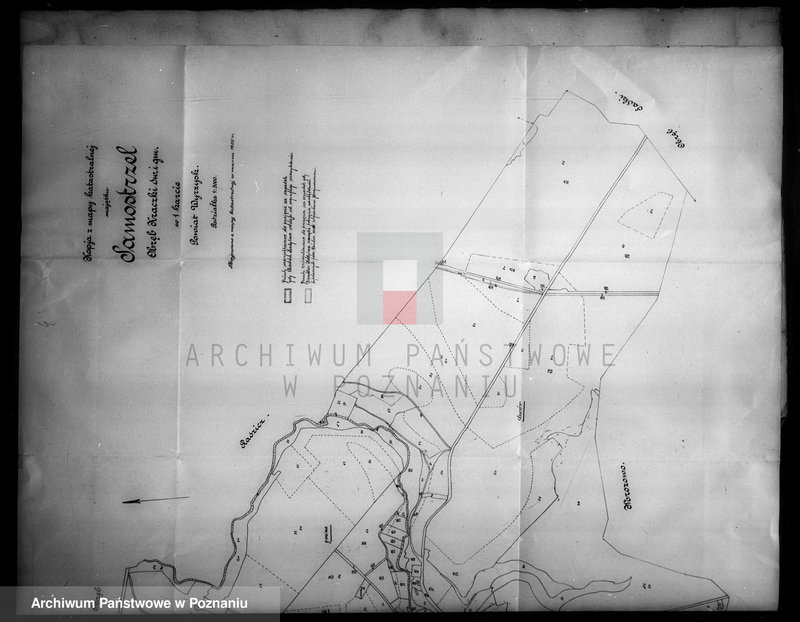 Obraz 9 z jednostki "Przejęcie gruntów za niektóre należności pieniężne z majątku Samostrzel powiatu wyrzyskiego"