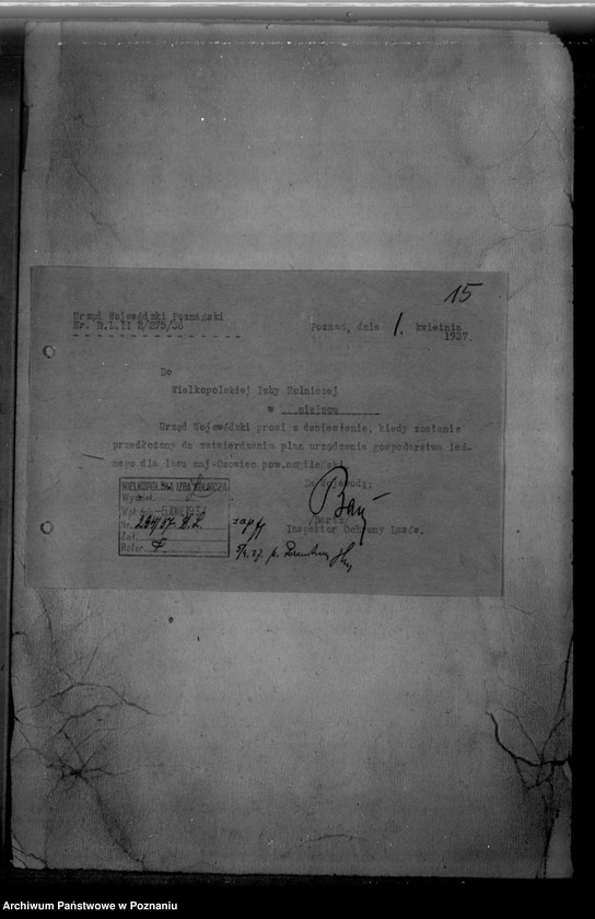 Obraz 19 z jednostki "/Majętność leśna/ Ossowiec/ powiat mogileński"