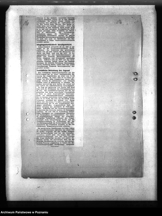 Obraz 20 z jednostki "Trichinose, Typhus"