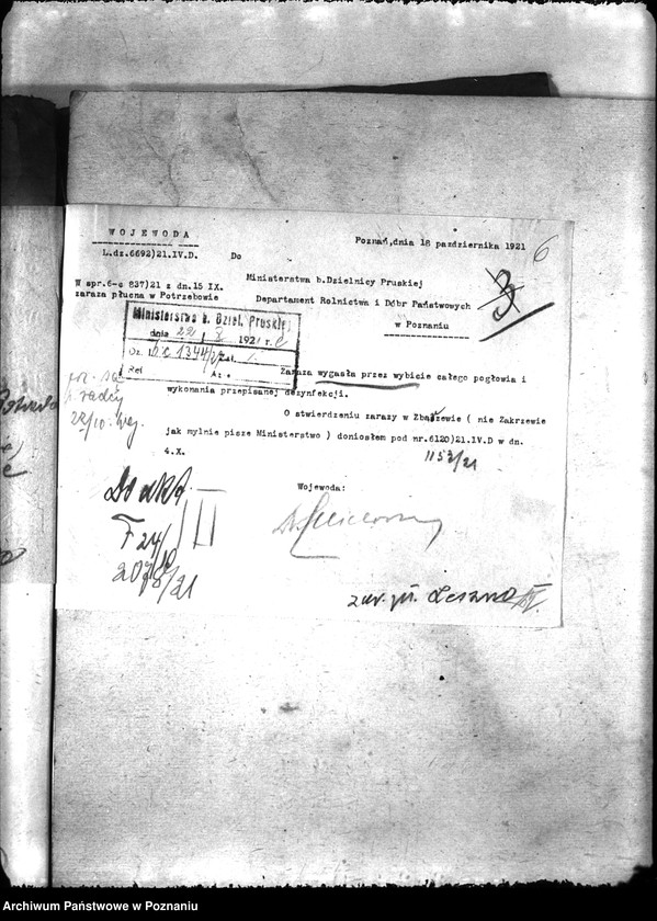 Obraz 10 z jednostki "Zaraza płucna - Leszno"