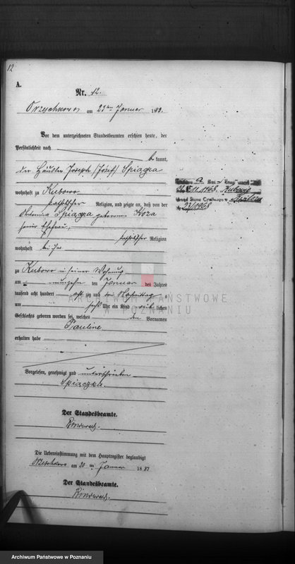 Obraz 14 z jednostki "Księga urodzeń"