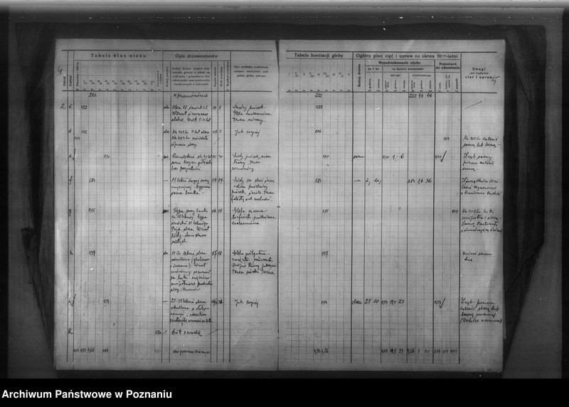 Obraz 7 z jednostki "Ryszard Koerth gmina Biskupice /Program urządzenia gospodarstwa leśnego/"