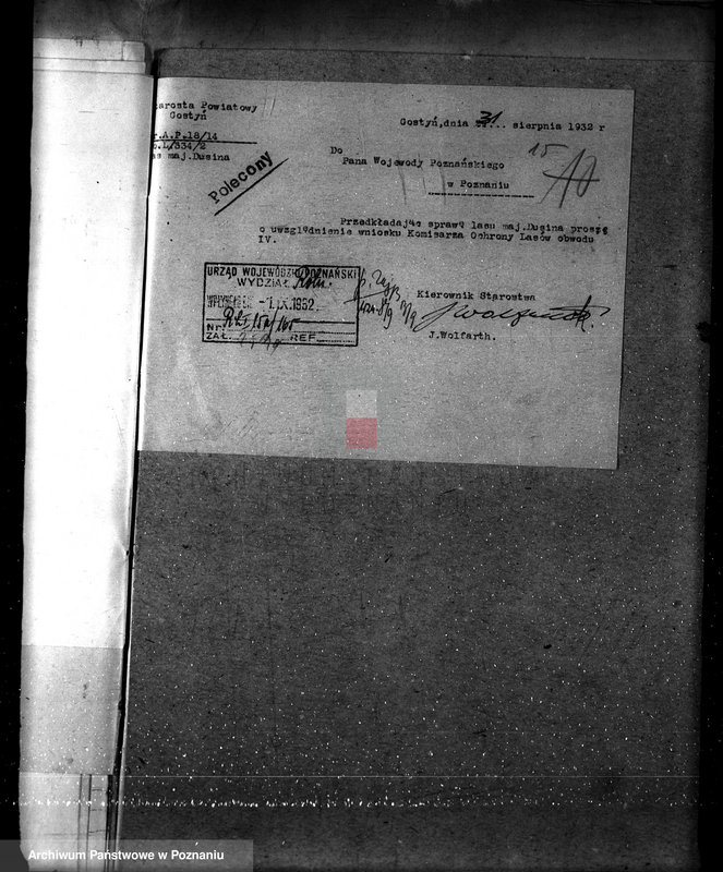 Obraz 19 z jednostki "Nadzór nad gospodarką w lasach majątku Dusina w powiecie gostyńskim"