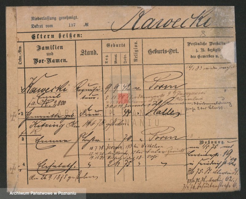 Obraz 8 z jednostki "Kawecki - Kaźmierczak (żonaci)"