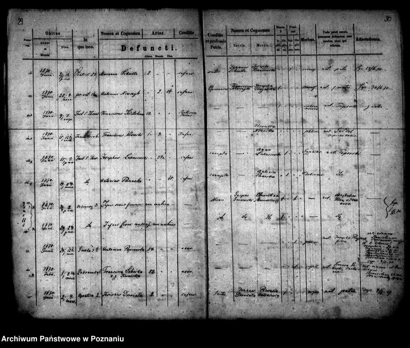 Obraz 17 z jednostki "Księga zgonów"