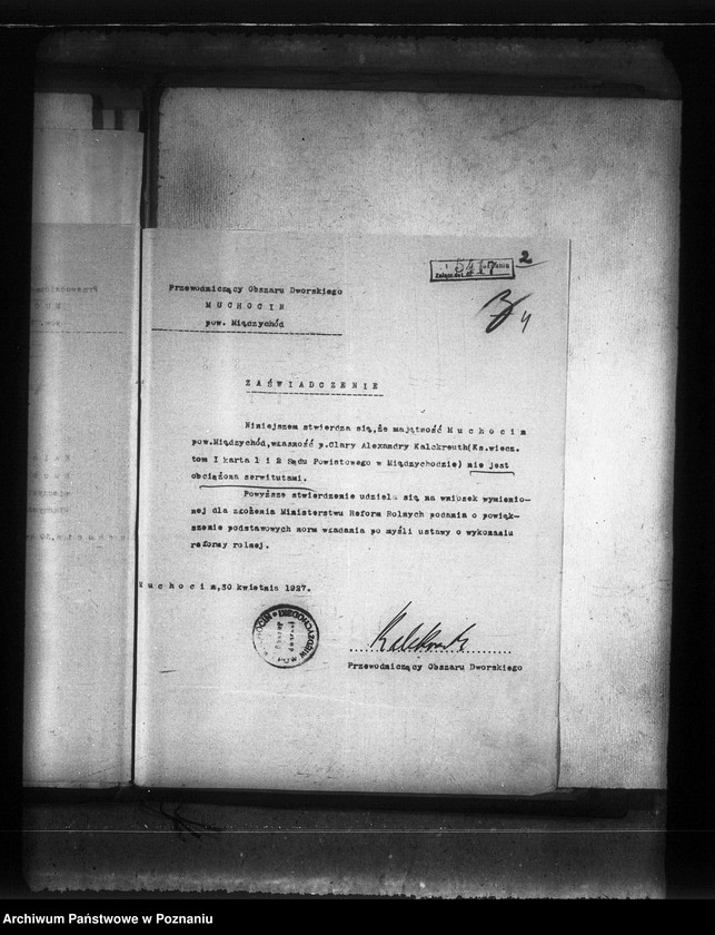 Obraz 8 z jednostki "Wyłączenie z art.. 4/5 ustawy o wykonaniu reformy rolnej z majątku Muchocin powiatu międzychodzkiego"