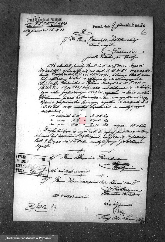 Obraz 10 z jednostki "Majętność leśna Godurowo w powiecie gostyńskim"