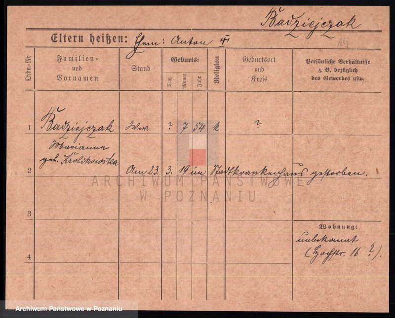 Obraz 16 z jednostki "Baczkowski - Bajdzyński"