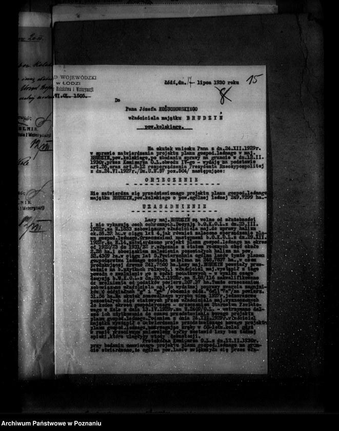 Obraz 19 z jednostki "Zatwierdzenie projektu planu gospodarczego dla lasu majątku Brudzew powiat turecki"