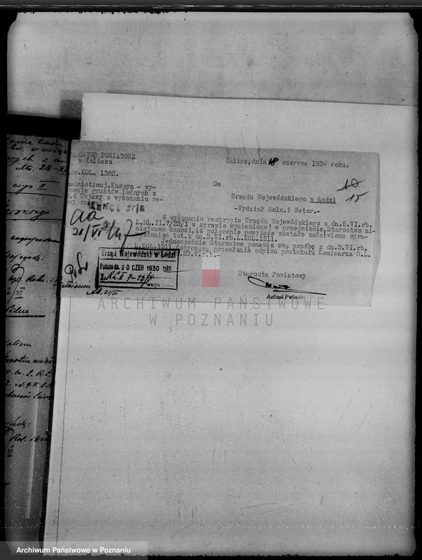 Obraz 19 z jednostki "Majątek Kuszyn powiat kaliski /sprawy leśne/"