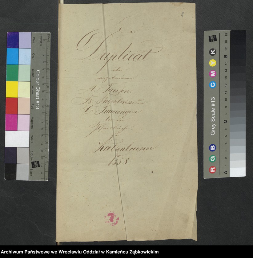 image.from.unit.number "Amtsgericht Schweidnitz Duplicate der Kirchenbücher von Kaltenbrunn"