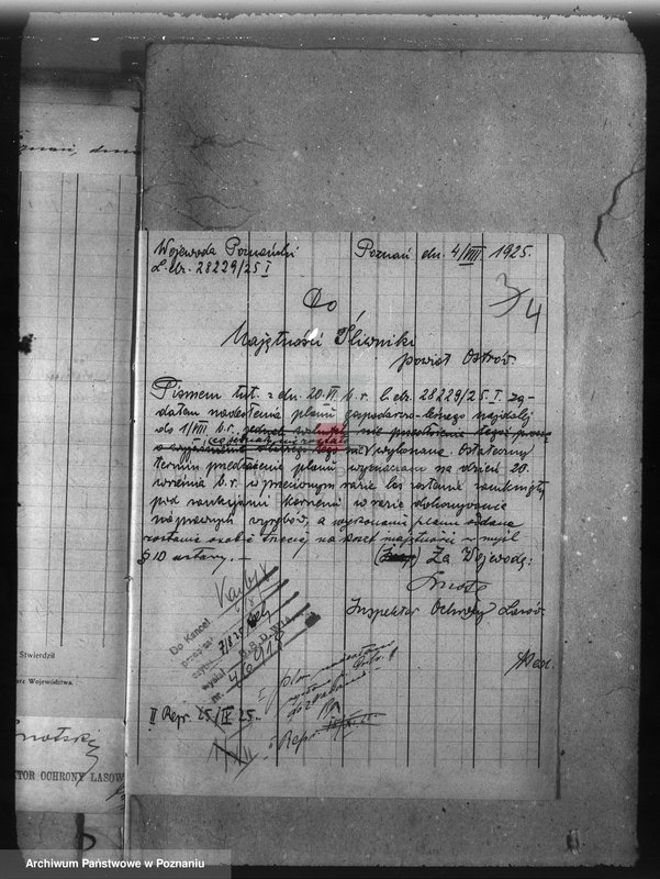 Obraz 8 z jednostki "Nadzór nad gospodarką w lasach majętności Śliwniki powiat ostrowski"