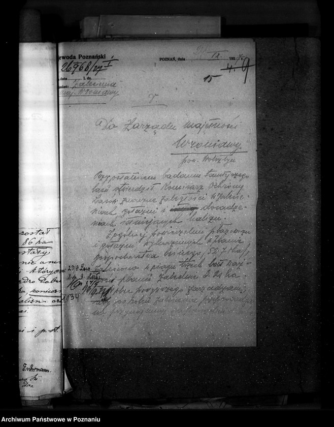 Obraz 19 z jednostki "Majętność leśna Wroniawy powiat wolsztyński"