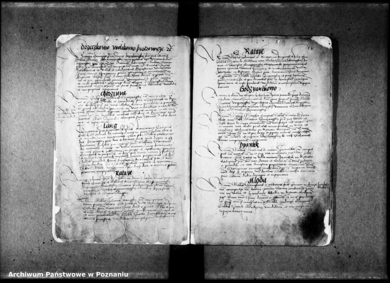 Obraz 6 z jednostki "Resignationes [inducta;protocollon]"