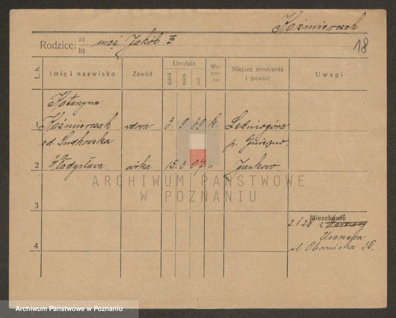 Obraz 18 z jednostki "Kaźmierczak (wdowy, samotni mężczyźni i kobiety)"