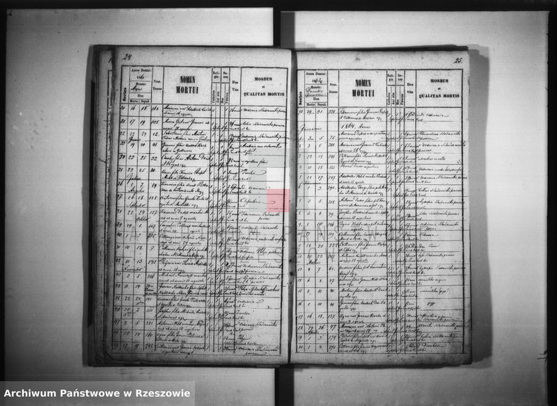 image.from.unit.number "Księga zgonów - Giedlarowa"