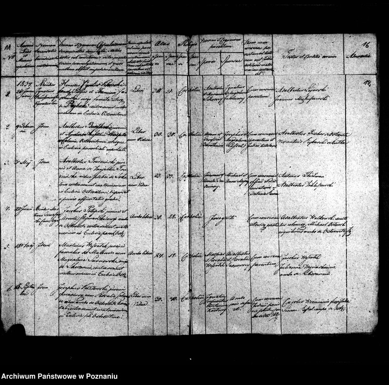 image.from.unit.number "Duplicatum librorum baptisatorum, copulatorum, mortuorum"