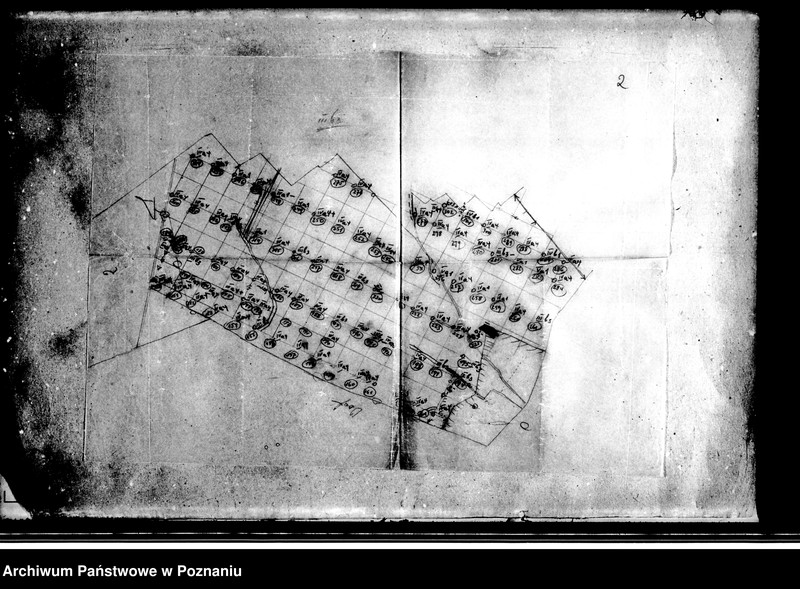Obraz 7 z jednostki "/Różne plany i mapy majątku Szydłowo powiatu mogileńskiego/"