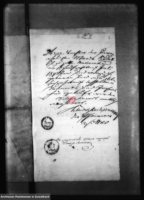 Obraz 12 z jednostki "Dokumenty k Aktam brakosočestavšichsja Pržerosl