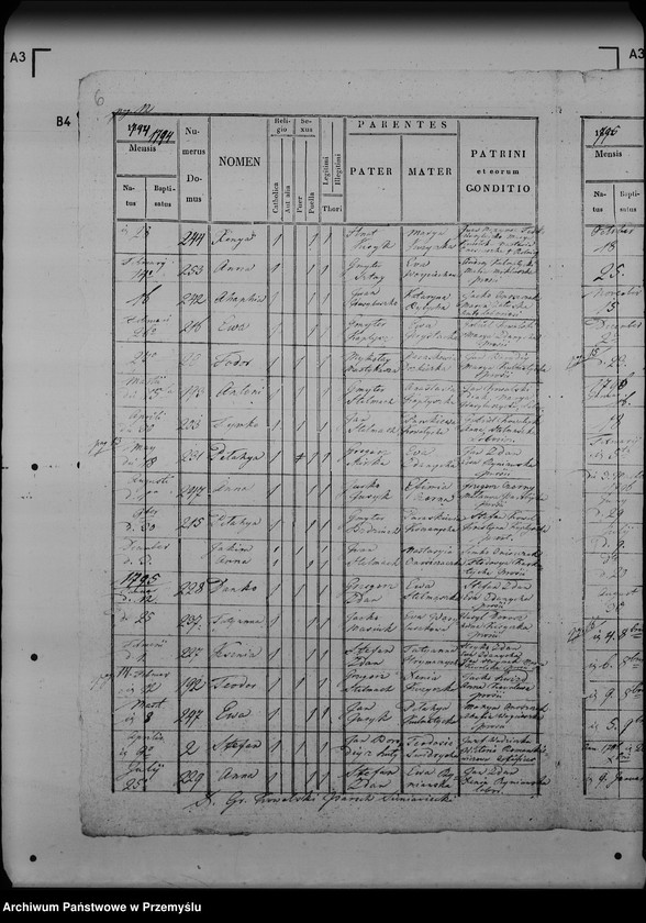 image.from.unit.number "[Kopie ksiąg metrykalnych parafii Sieniawka (dekanat Lubaczów)]"