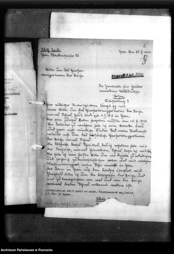 Obraz 10 z jednostki "Paul Arndy Thorn (Toruń)"