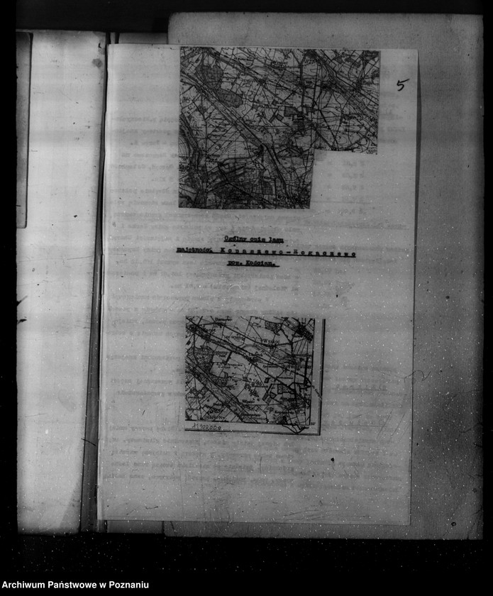 Obraz 8 z jednostki "Plan urządzania gospodarstwa leśnego dla lasu majętności Kopaczewo- Rogaczewo powiat kościański"