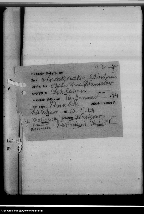 Obraz 17 z jednostki "Sammelakten zum Geburtenbuch [zgłoszenia urządzeń]"