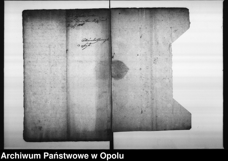 Obraz 12 z jednostki "Acta in Sachen der Fischer bey Oppeln wegen practendirten ausschliessenden Handels mit Fischen, hier in der Stadt Oppeln so wie die Auflösung des ganzen Fischermittels betreffend"
