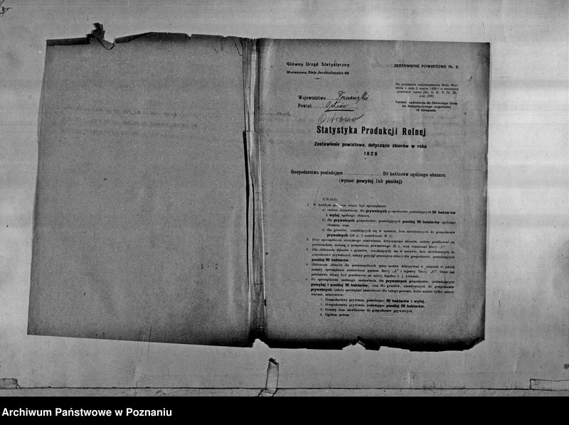 Obraz 3 z jednostki "/Statystyka produkcji rolnej - zestawienie powiatowe - Ostrów/"