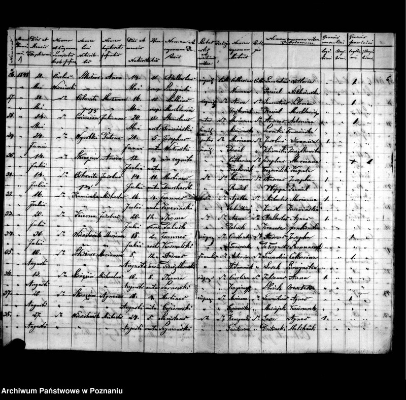 image.from.unit.number "Duplicatus baptisatorum, copulatorum, mortuorum"