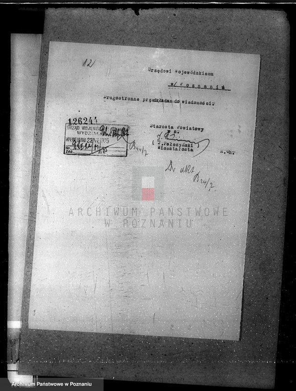 Obraz 18 z jednostki "Majętność leśna w Sarbii w powiecie czarnkowskim"