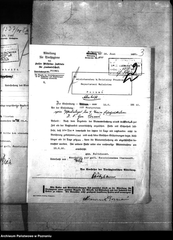 Obraz 7 z jednostki "Nosacizna - Poznań Miasto"