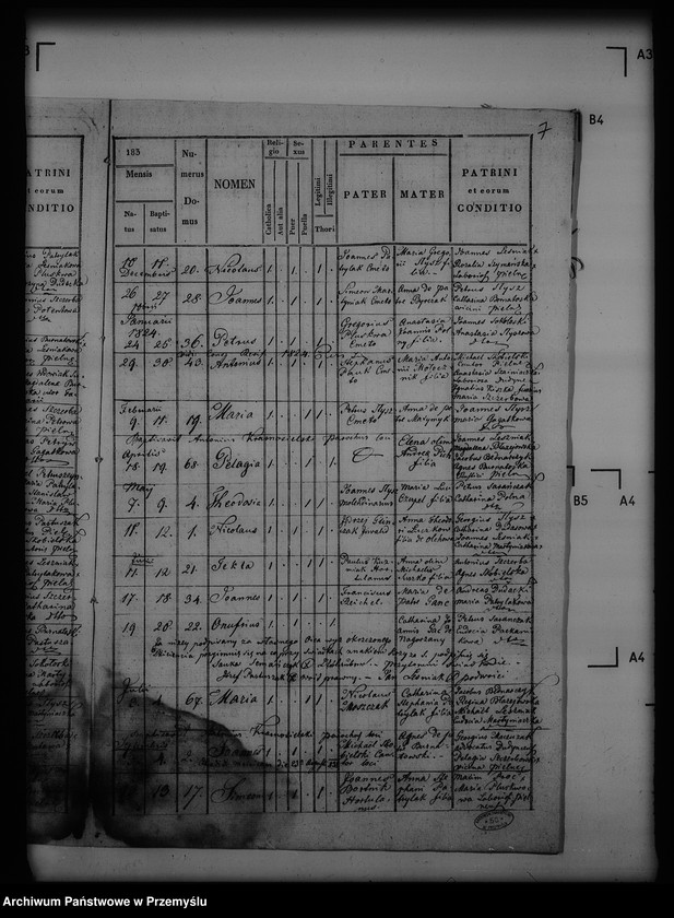 image.from.unit.number "[Kopie ksiąg metrykalnych parafii Pielnia z filiami Dudyńce, Pobiedno, Jędruszkowice, Markowice, Podgaj (dekanat Buków)]"