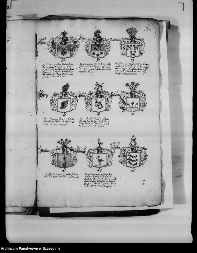 image.from.unit.number "Abbildungen von 178 adelichen grostentheils Pommern-Wappen der pommerschen adlichen Familien"