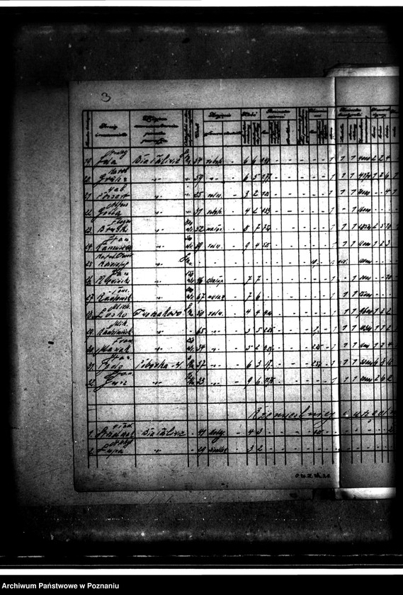 Obraz 7 z jednostki "Wykaz zgłoszeń na nabycie ziemi z parcelacji majątku Białośliwie"