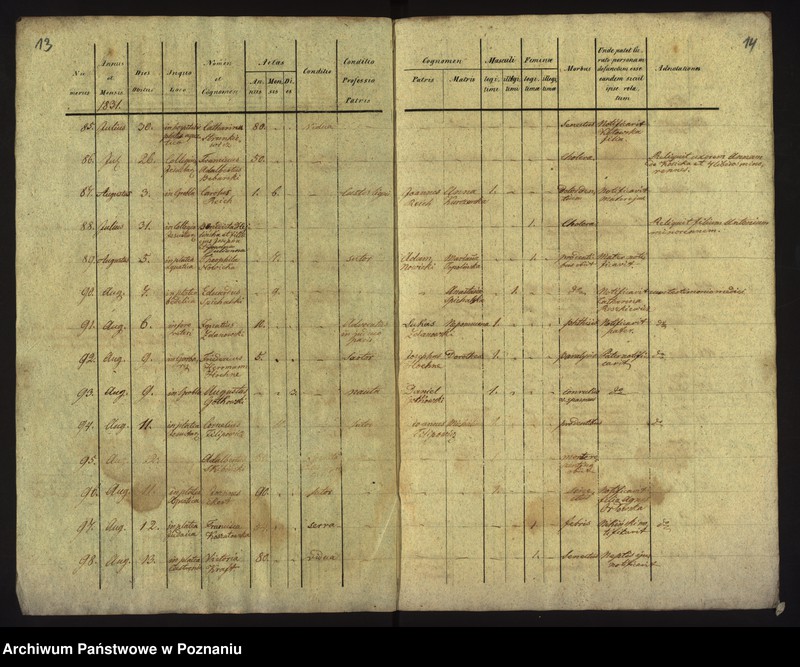 Obraz 10 z jednostki "Księga zgonów"