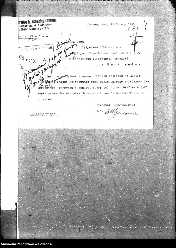 Obraz 8 z jednostki "Ziemiopłody"