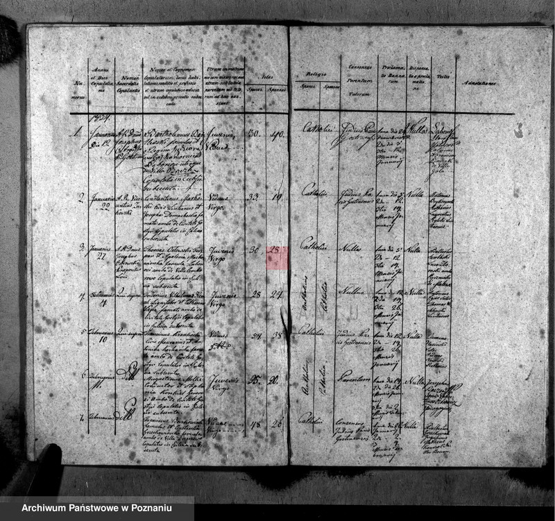 Obraz 13 z jednostki "Liber baptisatorum, copulatorum, mortuorum"