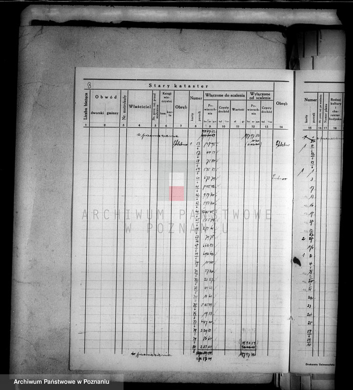 Obraz 12 z jednostki "Ogólne zestawienie powierzchni majątku Łobżenice powiatu wyrzyskiego"