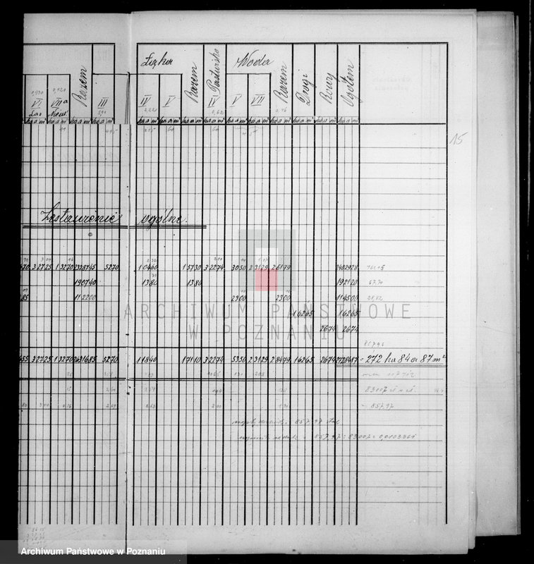 Obraz 19 z jednostki "Tymczasowy rejestr pomiarowy majątku Falmierowo powiatu wyrzyskiego"