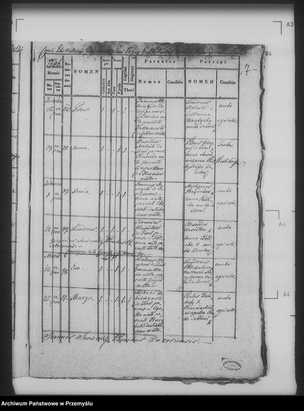 Obraz 11 z jednostki "[Kopie ksiąg metrykalnych parafii Żużel (dekanat Bełz)]"