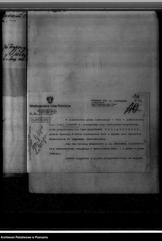 Obraz 18 z jednostki "Gospodarka w lasach majątku Jarogniewice powiat kościański"