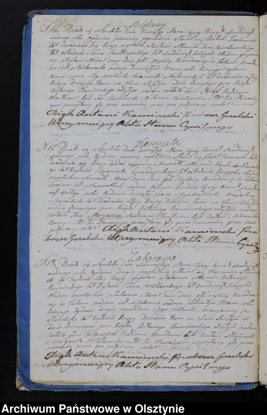image.from.unit.number "Duplikat Aktów Urodzenia, Zaślubień, Zejścia z Parafii Grzebskiej z Roku 1867"
