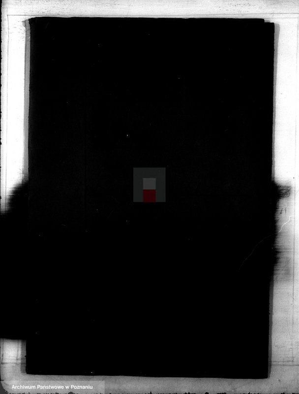 Obraz 4 z jednostki "Daniny Komunalne miasta Rychwał"