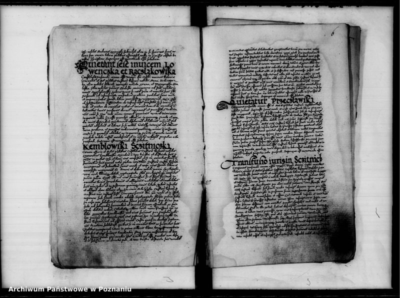 Obraz 9 z jednostki "Inscriptiones, relationes [inducta]"