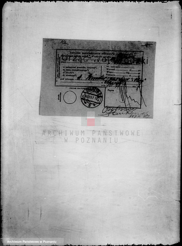 Obraz 16 z jednostki "/Klub Sportowy,,Obra" w Zbąszyniu/"