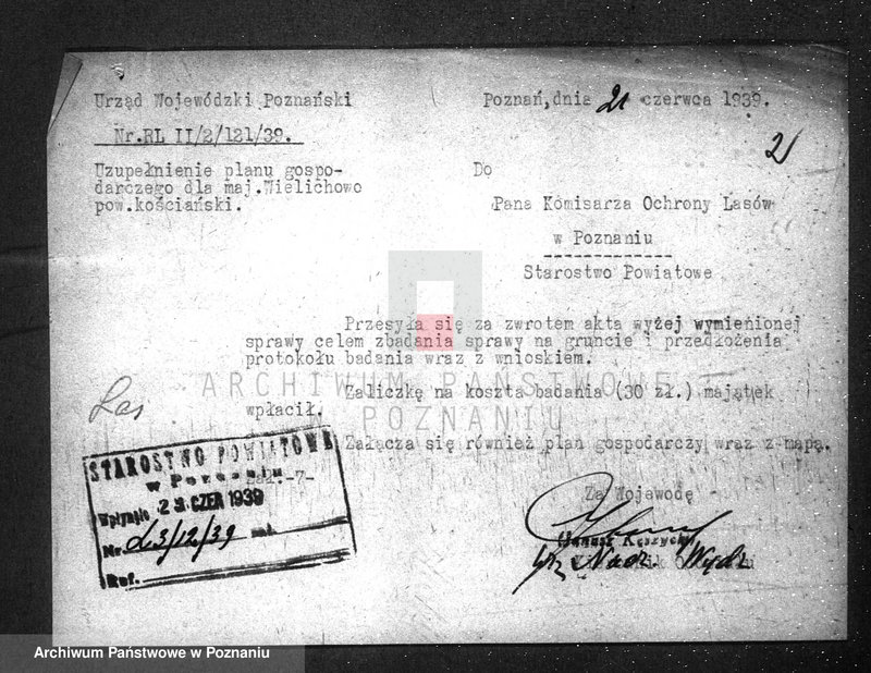 Obraz 6 z jednostki "/Las majątku Wielichowo/"