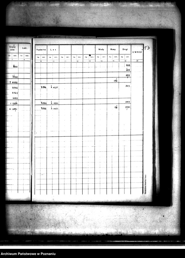 Obraz 17 z jednostki "Wieś i majątek Szczytniki powiat kaliski. Rejestr pomiarowy"
