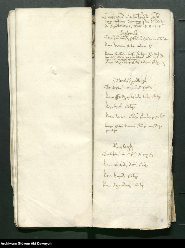 image.from.unit.number "Conscripcio curiensium et cubiculariorum Rmtis AD 1497 in Radom per Petrum Shidlo[wyeczki]."