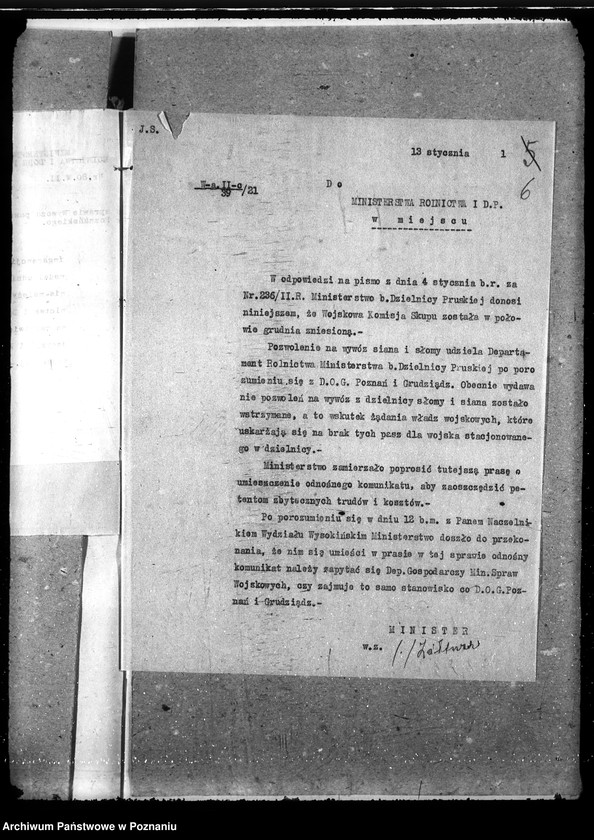 Obraz 10 z jednostki "Słoma i siano"